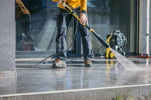 Best Roof Pressure Washing  in Zeigler, IL