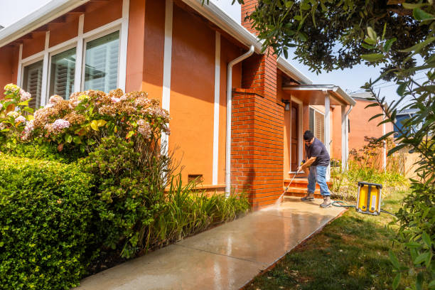 Best Concrete Pressure Washing  in Zeigler, IL